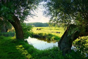 netherland