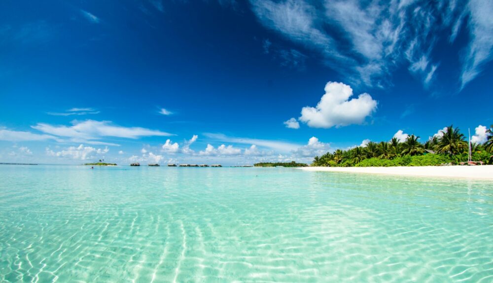 paradise