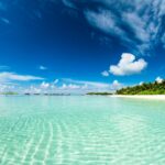 paradise