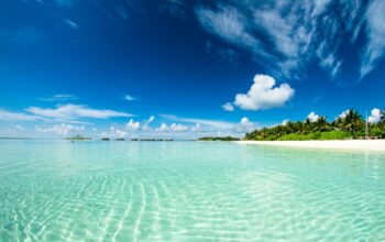 paradise
